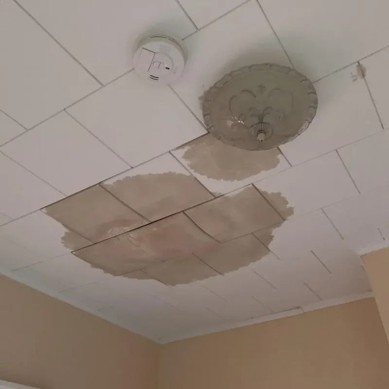 Ceiling Water Damage Repair in Westbury, NY